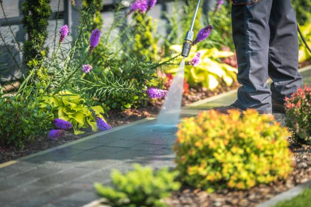 Best Spring Cleaning  in Akron, NY